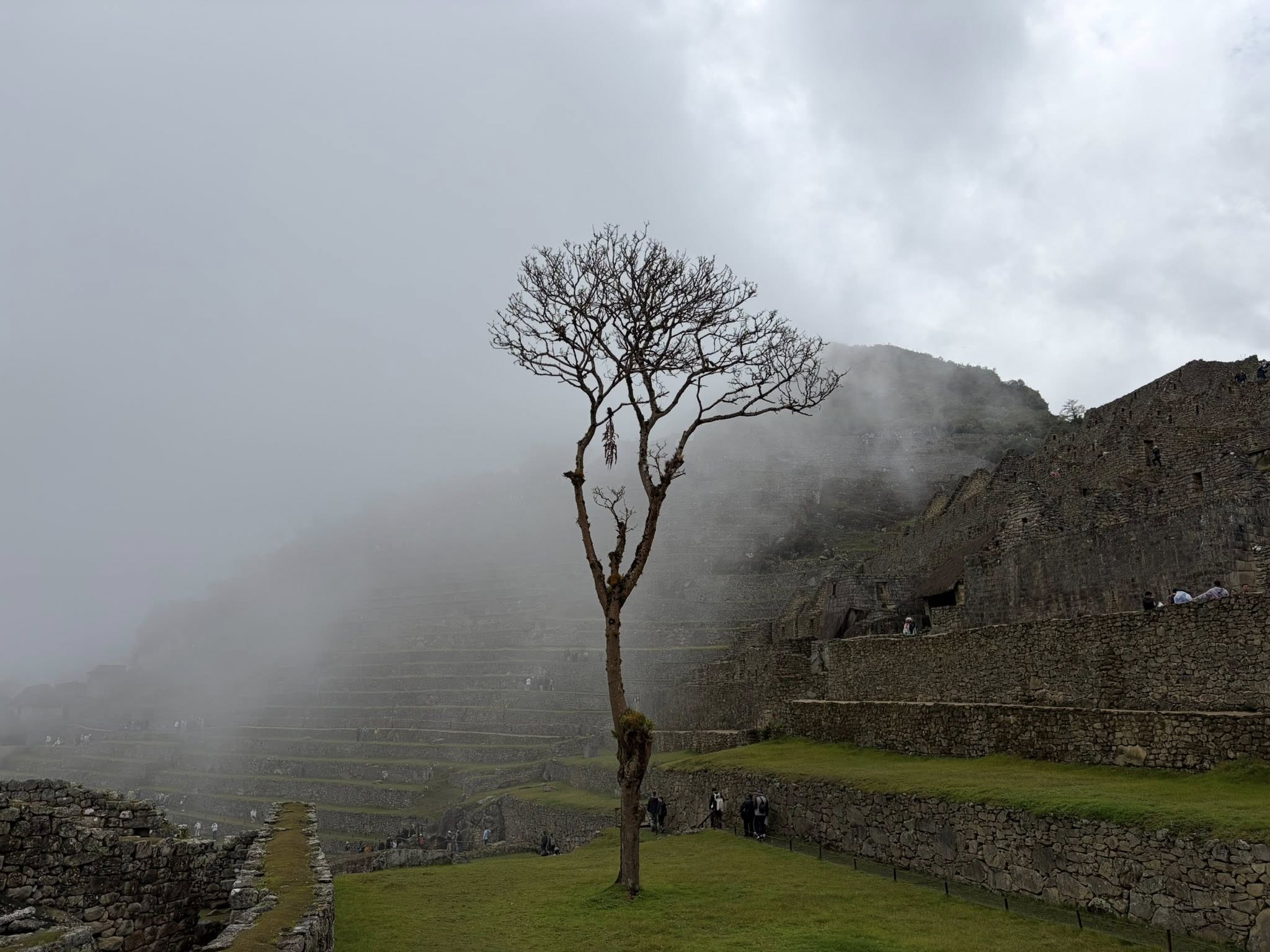 在馬丘比丘大多是階梯式設計
